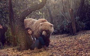 Как растолковать сон про медведец