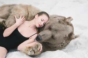 О чем говорит сон про медведя