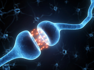 Связь нейронов