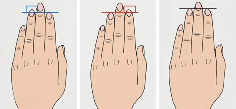 Значение длины пальцев