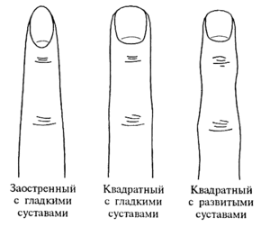 Связь формы пальцев и характера